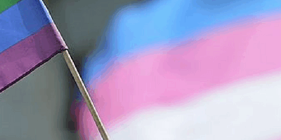 trans and pride flags