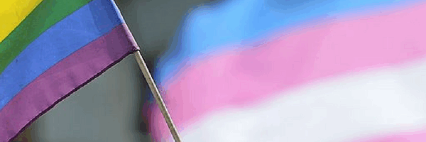 trans and pride flags