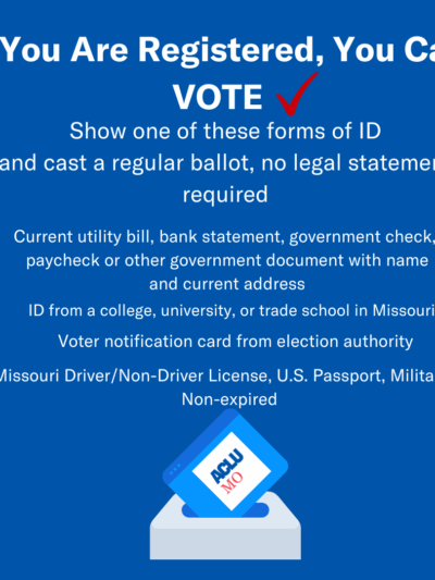 If you are registered, you can vote!.png