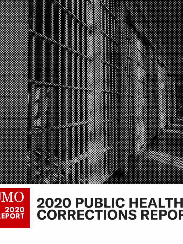 public health intern report