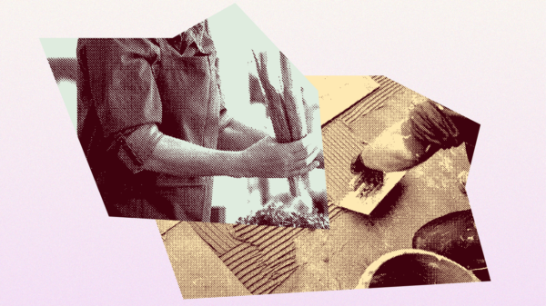 If you interact with ICE agents at work (haitian creole)