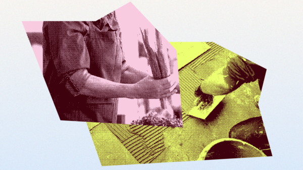 If you interact with ICE agents at work (mandarin)