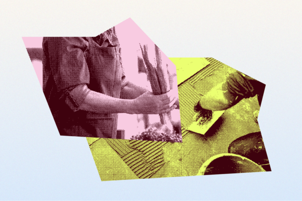 If you interact with ICE agents at work (mandarin)