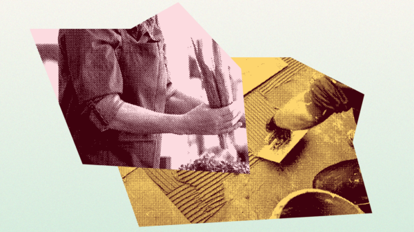 If you interact with ICE agents at work (spanish)