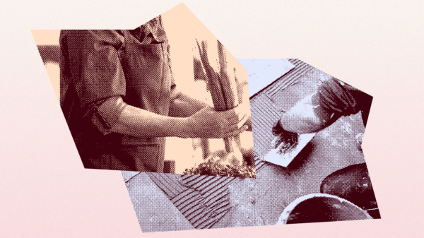 If you interact with ICE agents at work