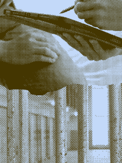 collage on mental health treatment for detainees