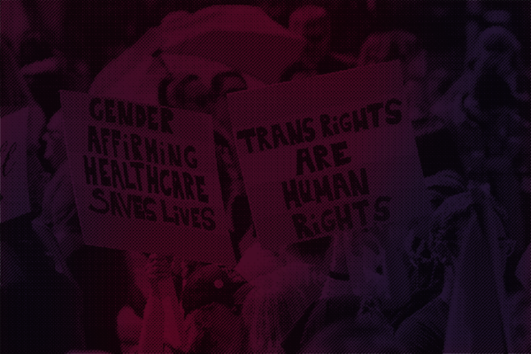 A picture of signs supporting transgender rights with a red overlay