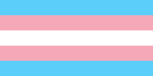 Picture of blue, pink and white transgender flaf