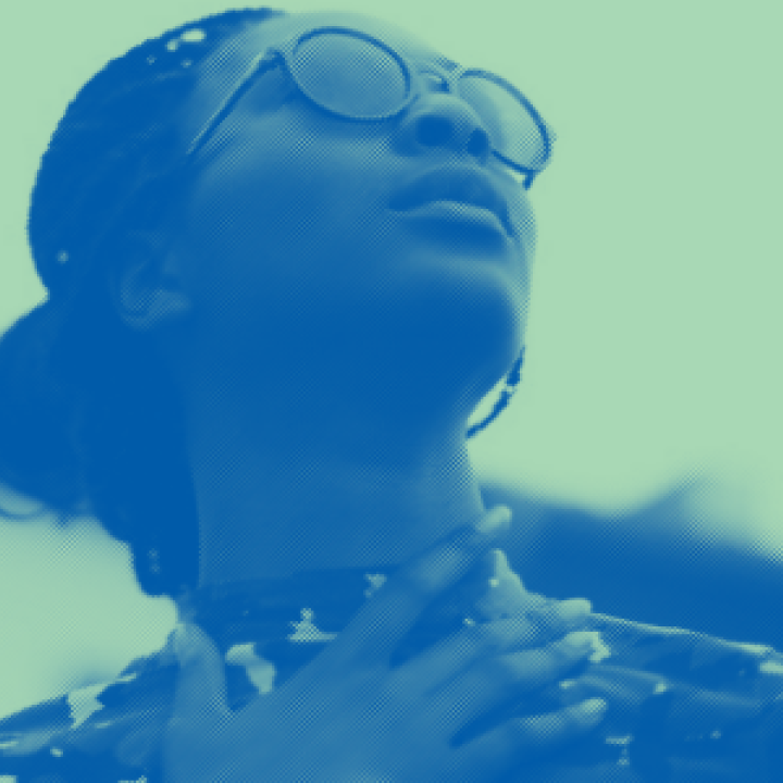 social justice fellowship at harris-stowe