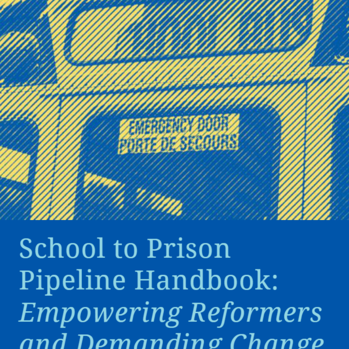 STPP handbook